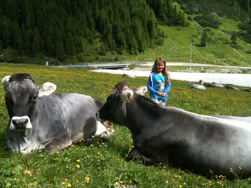 Landhaus Auen Neustift im Stubaital Eksteriør bilde